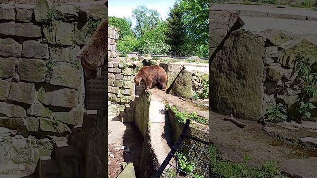 Что с ним происходит, непонятно? смотреть онлайн