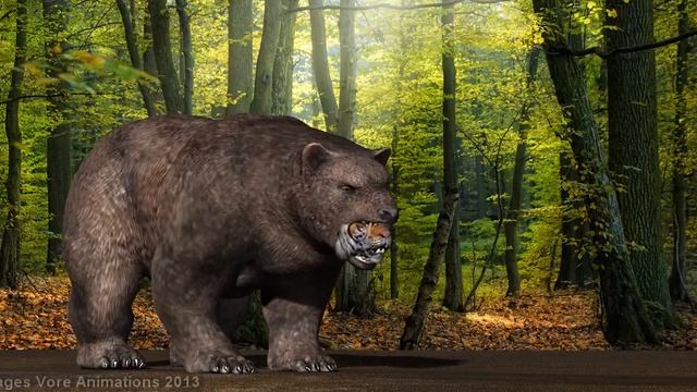 Bear eat before sleep a tiger смотреть онлайн