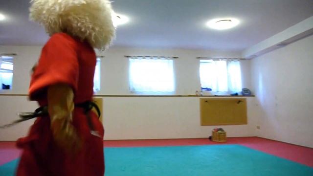 Ингушская лезгинка. Паланкоев Муса смотреть онлайн
