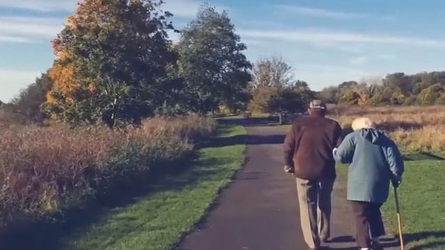 El Sínodo de los Obispos смотреть онлайн