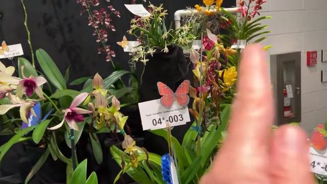 Выставка смотреть онлайн