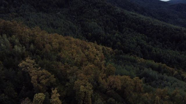 Природа город Хадыженск, гора Лысая, озеро. смотреть онлайн