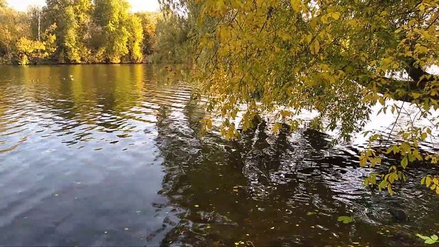 Золотой берег отражается на речной глади Москва-реки смотреть онлайн
