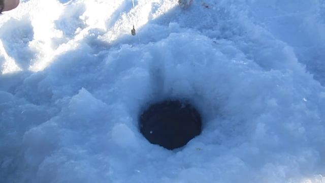 Ловля окуня на балду, Гусиное озеро 31 01 16 смотреть онлайн