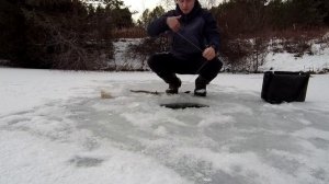 Как поймать живца зимой? Очень лёгкий способ!