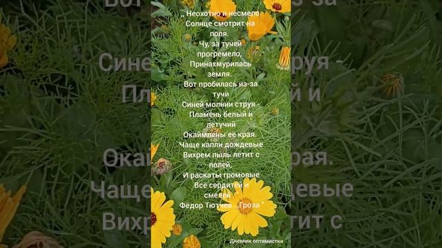 Лето стихи смотреть онлайн