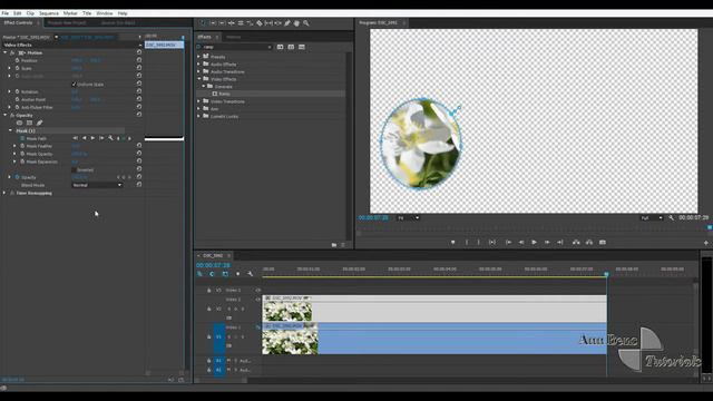Motion Track red circle around face or object- Premiere Pro CC 2014 смотреть онлайн