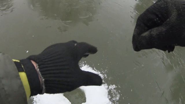 Первый лед 2019г! Ловля Плотвы на "безнасадку" на Микро-речке. смотреть онлайн