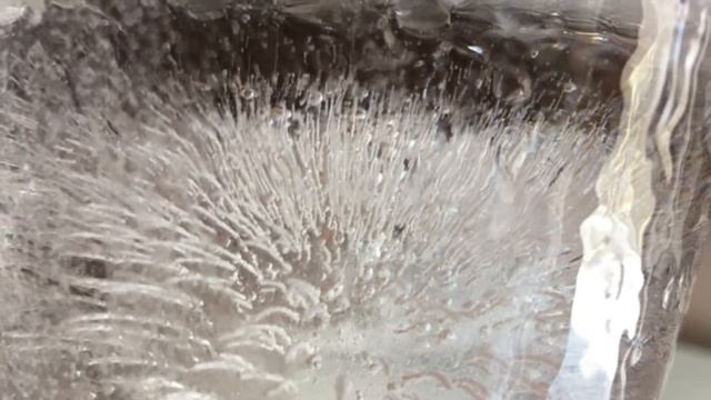 Life in the glass. Жизнь в стакане)) кристалы воды. смотреть онлайн