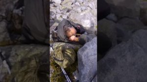 Восхождение на гору Белуха - гора Смерти