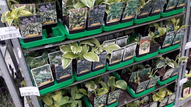 Оптовый Центр Цветов FLOREVILLE🌱🌺