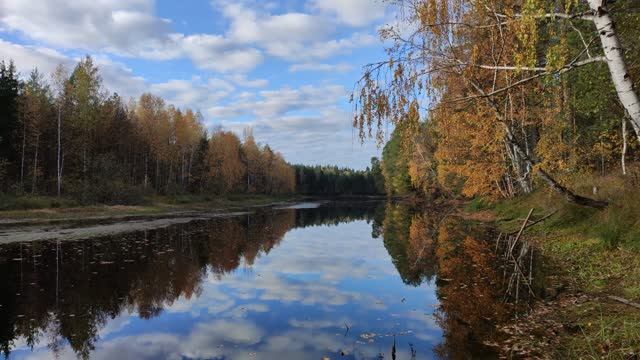 Закрытие грибного сезона. смотреть онлайн