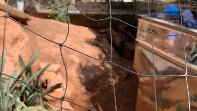 Сафари Парк Рамат Ган смотреть онлайн