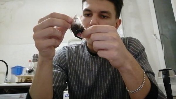 обзор чая "Maitre de Thé. Exclusive collection"