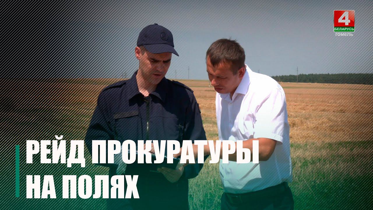 Сотрудники прокуратуры контролируют ситуацию на полях смотреть онлайн