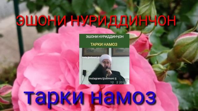ЭШОНИ НУРИДДИНЧОН ТАРКИ НАМОЗ смотреть онлайн