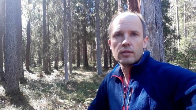 Главная особенность Линдуловской рощи.