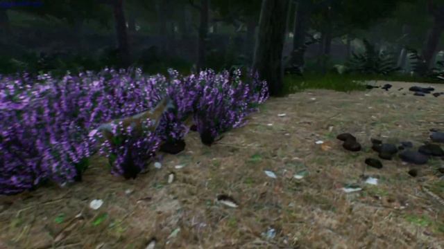 Deer Journey gameplay - GogetaSuperx смотреть онлайн