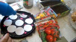 КАК БЫСТРО ПРОРАСТИТЬ СЕМЕНА ТОМАТОВ ДЛЯ ПОСЕВА.ОБАЛДЕННЫЙ РЕЗУЛЬТАТ