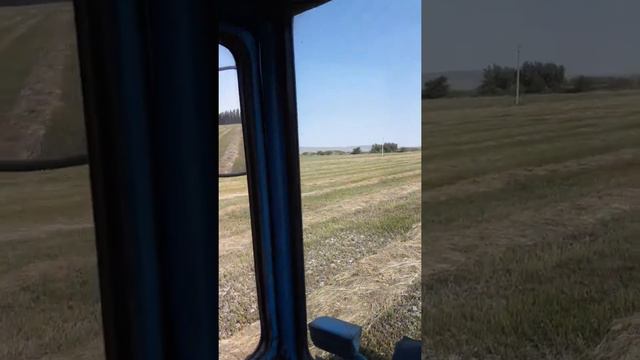 Мтз джандари 17 канал AZE - GE Гранича смотреть онлайн