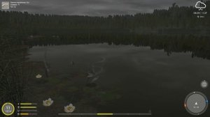 Русская Рыбалка 4 - Как заработать быстро деньги в игре