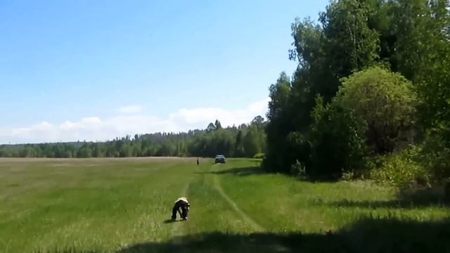 Семья Бровченко. Поиск земли для Род.пом. - Поездка в Гороховское. мун. образ. (рел.) (часть 10) смотреть онлайн