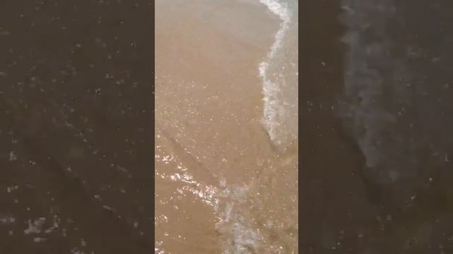 Пляж baga beach GOA смотреть онлайн