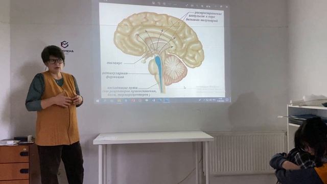 Лекция Лизы Ветровой : Кто такие экстраверт и интроверт? смотреть онлайн