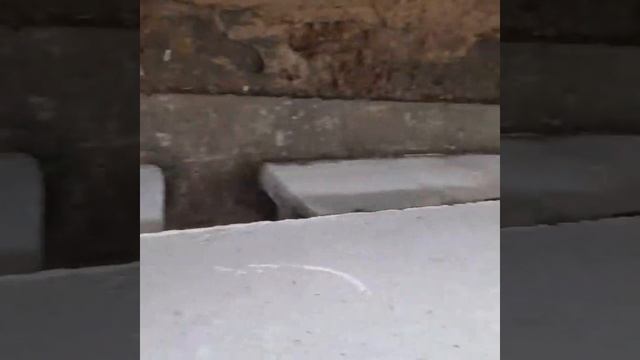 Фундамент из ФБС блоков за день смотреть онлайн