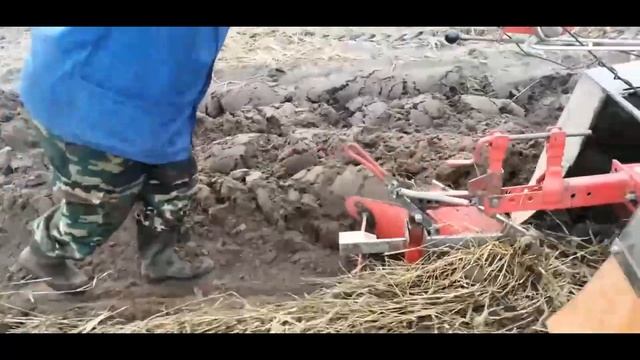осень 2019 смотреть онлайн