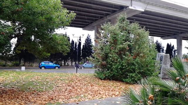 Платаны - багряно золотые.. смотреть онлайн