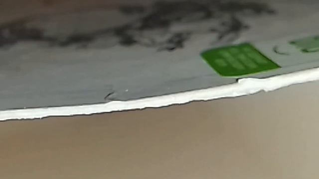 Паук волк (Lycosidae) смотреть онлайн