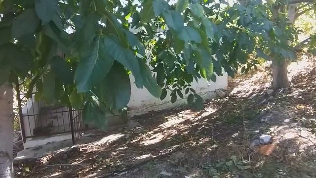 Смотрим дом за 20000$ Турция #переездвтурцию #мерсин смотреть онлайн