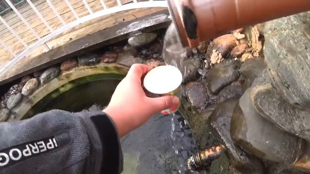 ВЛОГ:ОКУНУЛСЯ В КУПЕЛЬ И ЧУТЬ НЕ ВЫПЛЮНУЛ ЧЕЛЮСТЬ!!!