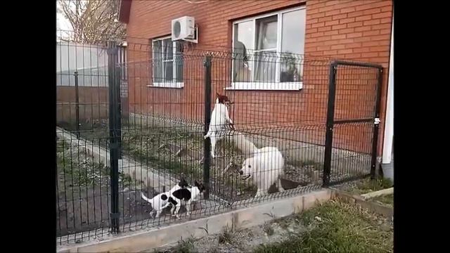 брик путь на волю смотреть онлайн
