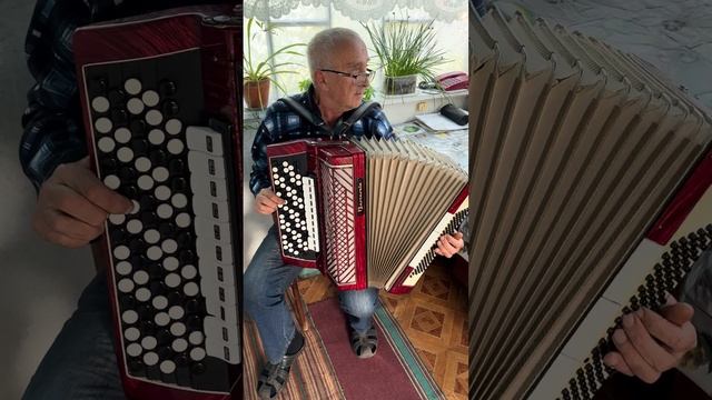 Barcarole Professional, 5 Row accordion, 120 Bass, 4 voices, Professional Accordion, 11+3 Registers смотреть онлайн