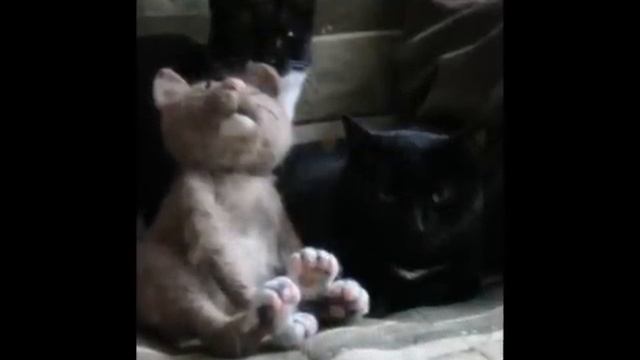 Авторские работы Кати Козуненко. смотреть онлайн