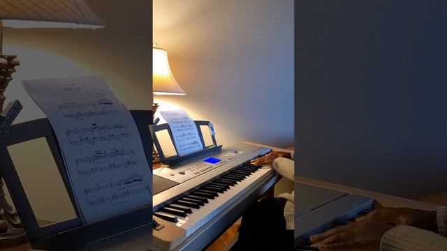 Lotus Land Op.47 No.1 by C. Scott | Danielle, Age 17, Piano смотреть онлайн