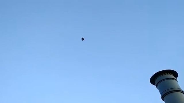 Николаевские торцовые голуби в Орле смотреть онлайн