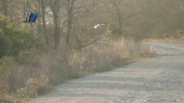 2011 İstanbul Ralli Kupası 1. Ayak / Gürkal Menderes - Bülent Atasoy Renault 11 TXE смотреть онлайн