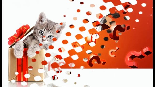 День всех влюбленных – что подарить? Памятные и инвестиционные монеты смотреть онлайн