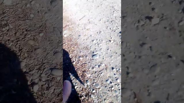 надо убирать мусор на улице а не мусорить смотреть онлайн