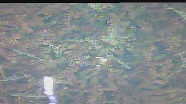 Подводная камера Eyoyo оригинал 30м 1000TVL Hd. Качество записи.