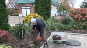 В саду у Николая Дементьева.  Работа с многолетниками.