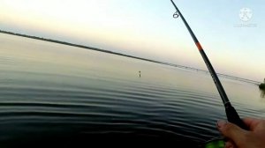 Отличная рыбалка в Саратове. Наловили судака, и не только!!!!