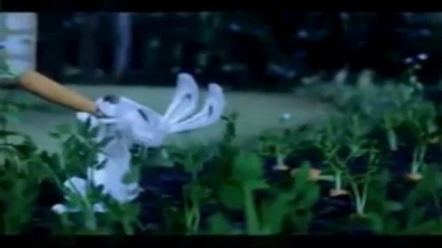 Кабалевский "Зайчик дражнить Ведмедика" смотреть онлайн