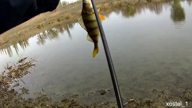 Ловля окуня на микроджиг #103 смотреть онлайн