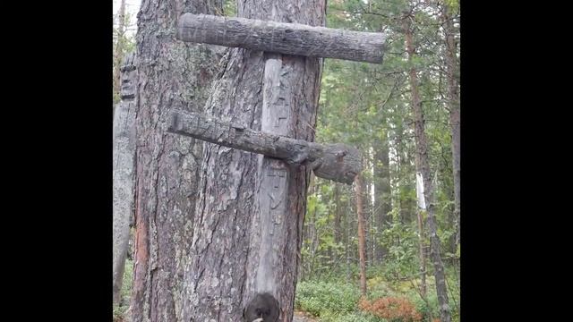 Охта 2015. Сплав. смотреть онлайн