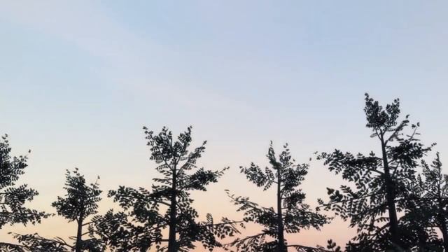 Едмонтозавр - огромный травоядный динозавр с «утиным клювом» . #динозавры #Edmontosaurus #dinosaur смотреть онлайн