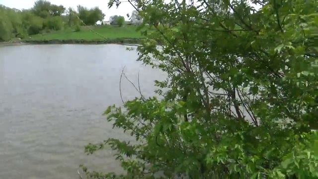 Донец Прохоровского района и пруды Прохоровского района смотреть онлайн